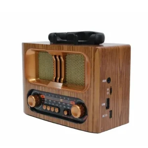 رادیو کلاسیک MEIER M-1931BT